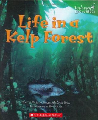Life in a kelp forest cover image