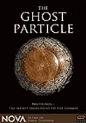The ghost particle cover image