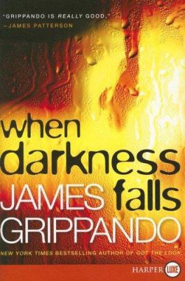 When darkness falls cover image