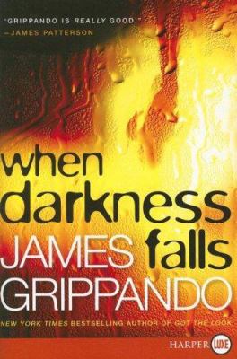 When darkness falls cover image cdn