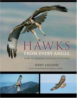 Hawks from every angle : how to identify raptors in flight cover image