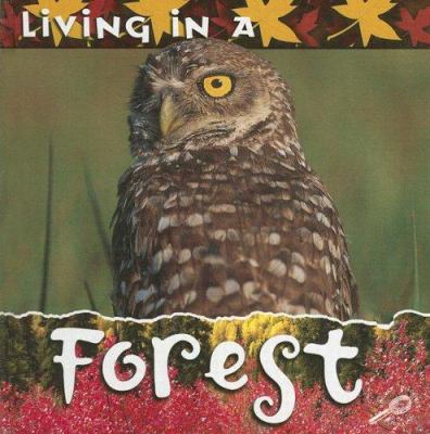 Living in a forest cover image