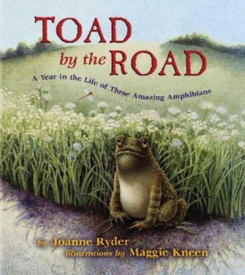 Toad by the road : a year in the life of these amazing amphibians cover image