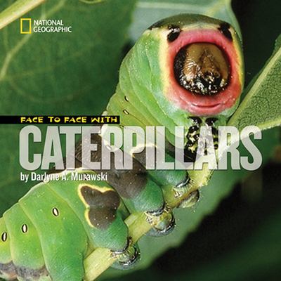 Face to face with caterpillars cover image