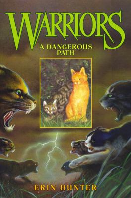 A dangerous path cover image