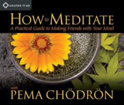 How to meditate [a practical guide to making friends with your mind] cover image