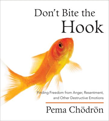 Don't bite the hook finding freedom from anger, resentment, and other destructive emotions cover image