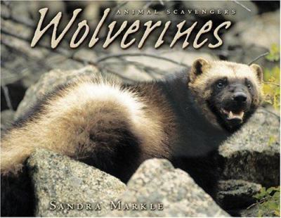 Wolverines cover image