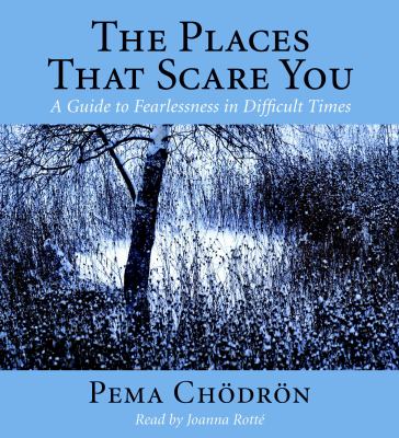 The places that scare you [a guide to fearlessness in difficult times] cover image
