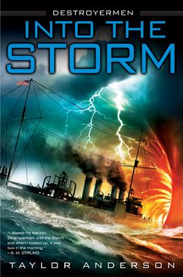 Into the storm  cover image cdn