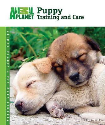 Puppy training and care cover image
