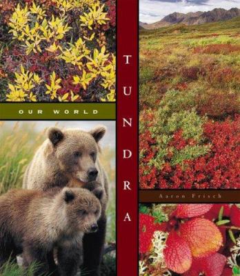 Tundra  cover image cdn