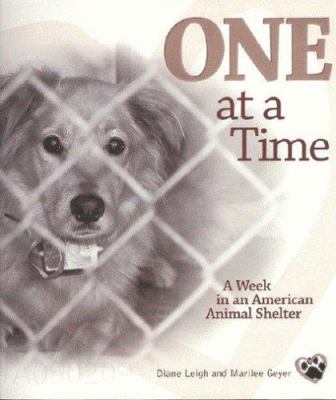One at a time : a week in an American animal shelter cover image