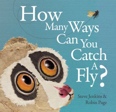 How many ways ... can you catch a fly? cover image