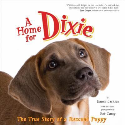A home for Dixie : the true story of a rescued puppy cover image