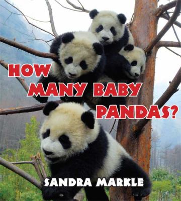 How many baby pandas? cover image
