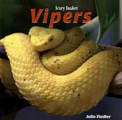 Vipers  cover image cdn