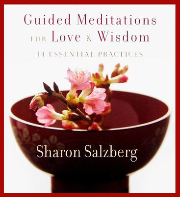Guided meditations for love & wisdom 14 essential practices cover image