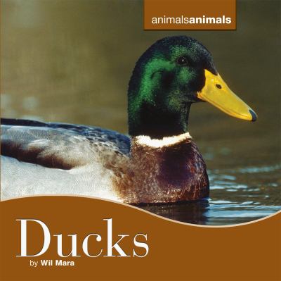 Ducks  cover image cdn