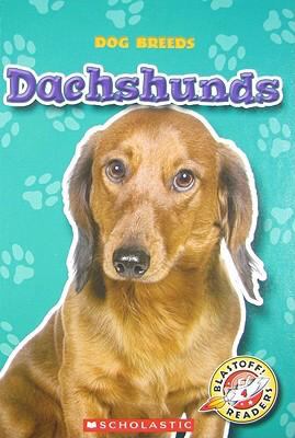 Dachshunds  cover image cdn