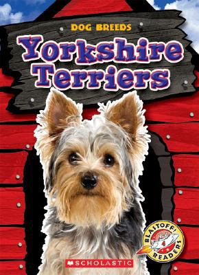 Yorkshire Terriers  cover image cdn
