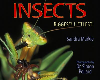 Insects : biggest! littlest! cover image