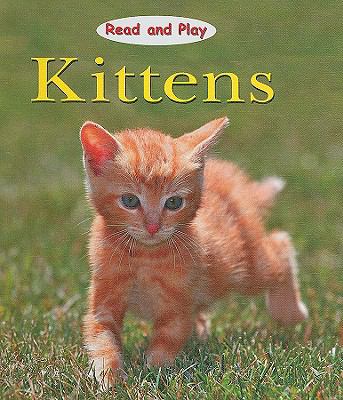 Kittens  cover image cdn