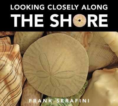 Looking closely along the shore cover image