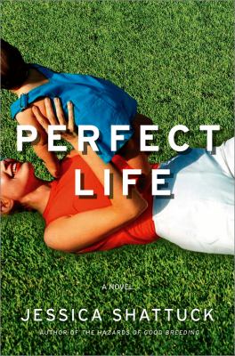Perfect life cover image