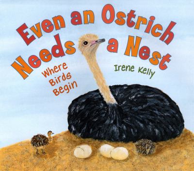 Even an ostrich needs a nest : where birds begin cover image
