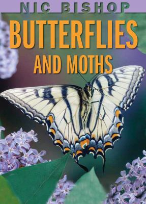 Butterflies and moths  cover image cdn
