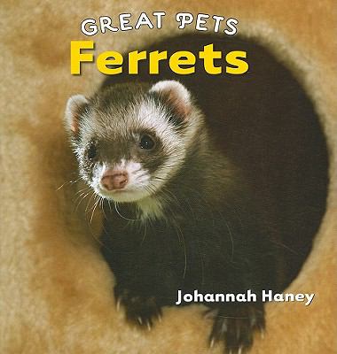 Ferrets  cover image cdn