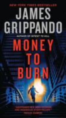 Money to burn : a novel of suspense  cover image cdn