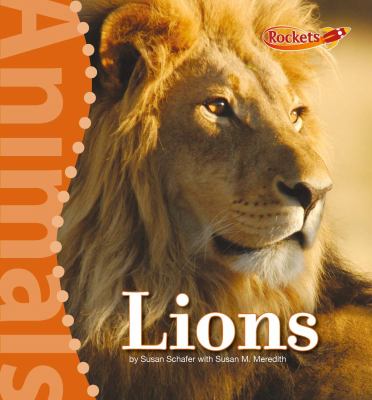 Lions  cover image cdn