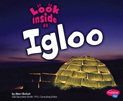 Look inside an igloo cover image