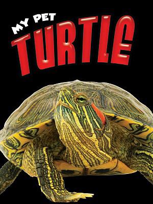 Turtle cover image