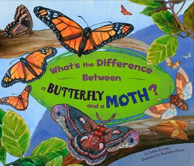 What's the difference between a butterfly and a moth? cover image