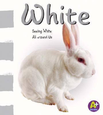White : seeing white all around us cover image