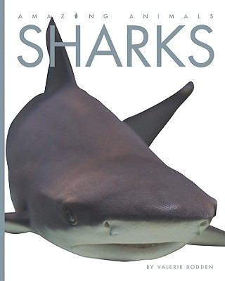 Sharks cover image