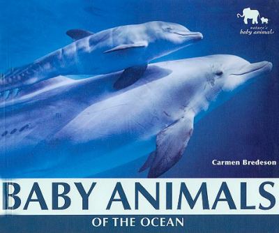 Baby animals of the ocean cover image