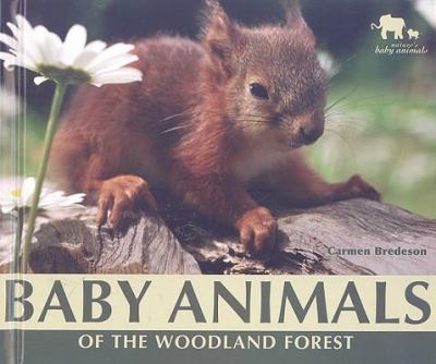Baby animals of the woodland forest cover image