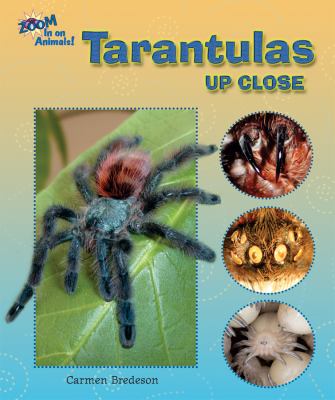Tarantulas up close cover image