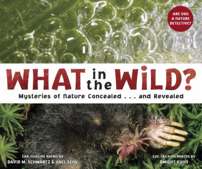 What in the wild? : mysteries of nature concealed-- and revealed cover image