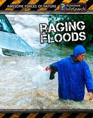 Raging floods cover image