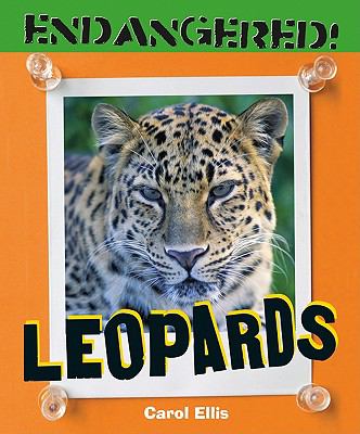 Leopards cover image
