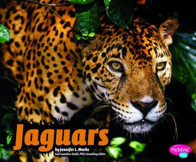 Jaguars  cover image cdn