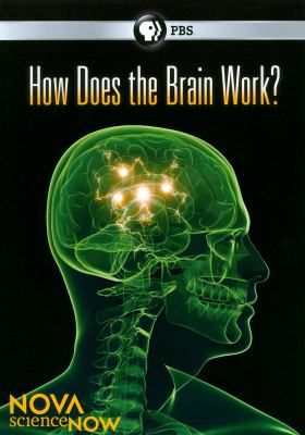 ScienceNow. How does the brain work? cover image