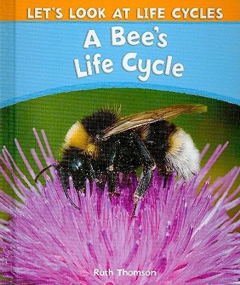 A bee's life cycle cover image