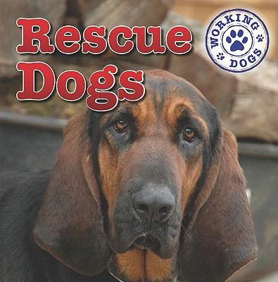 Rescue dogs cover image