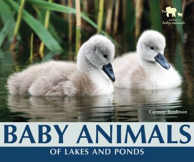 Baby animals of lakes and ponds cover image